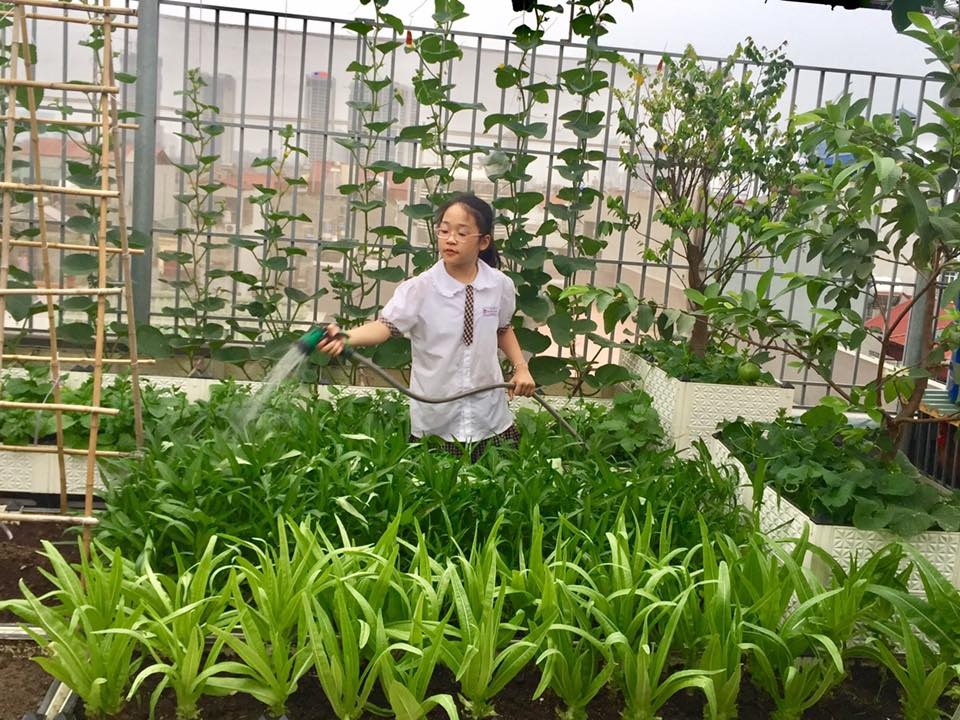 Mãn nhãn vườn rau xanh, cây trái trĩu trịt trên sân thượng nhà 5 tầng - 10 Khu vườn không chỉ cung cấp thoải mái rau ăn cho gia đình mà còn là nơi thư giãn và giúp 2 cô con gái anh Tuấn trải nghiệm việc chăm sóc cây sau mỗi giờ tan học.