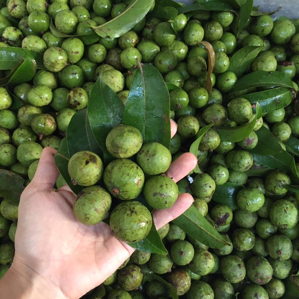 Sấu non “cháy” hàng, dân buôn “hốt” bạc triệu - 3 Trên nhiều diễn đàn mạng, sấu non cũng được rao bán khá nhiều và luôn trong tình trạng cháy hàng.