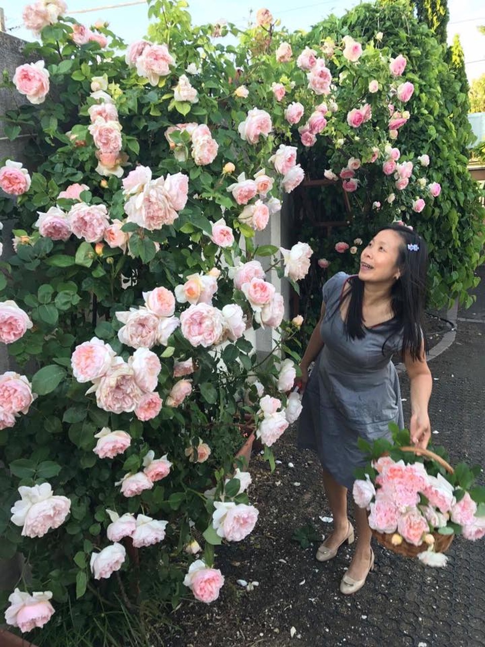 Ngôi nhà hoa hồng "đẹp như cổ tích" của nữ Việt kiều Hungary - 9 Chị Thảo cho biết chị có một tình yêu rất đặc biệt với hoa hồng