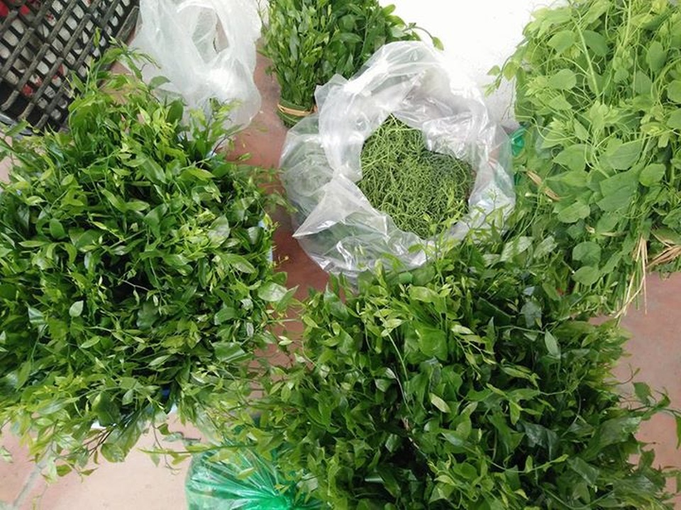 Nhà giàu Hà Nội chi tiền triệu “săn” đặc sản rau rừng - 1 Các loại rau rừng có giá cao gấp 3 - 4 lần nhưng vẫn được nhiều người ưa chuộng. Ảnh: FB