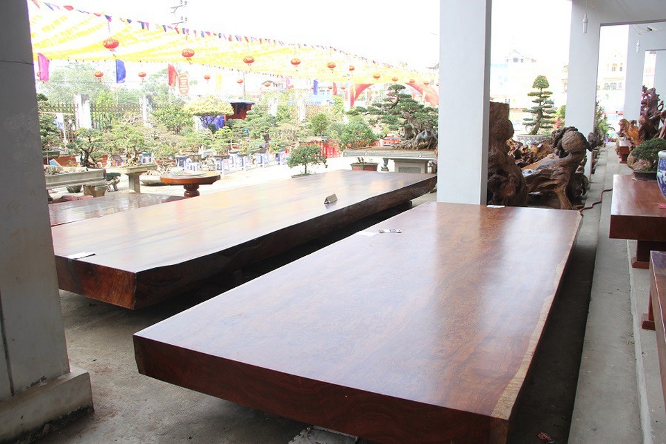 Tại Triển lãm Sinh vật cảnh đang diễn ra ở huyện Phúc Thọ (Hà Nội), rất nhiều sập gỗ quý có tuổi đời hàng nghìn năm được lái buôn các tỉnh mang đến trưng bày, giới thiệu cho khách tham quan thưởng lãm. Trong số này, có cả những sập gỗ nguyên khối có giá lên tới 2-3 tỷ đồng, được đánh giá là hiếm có, khó tìm.