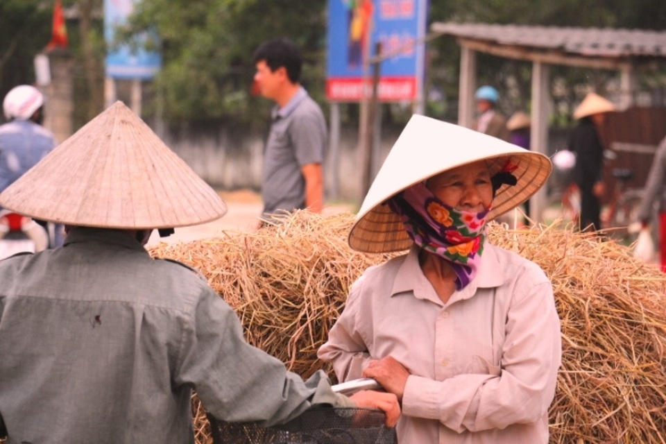 Độc đáo phiên chợ chỉ có… rơm - 12 Một cán bộ quản lí chợ Bình Lộc cho biết: “Chợ rơm này có từ nhiều năm nay rồi, đó là một mặt hàng khá độc đáo mà có lẽ không ở chợ nào có”. Khu vực bà con bán rơm chỉ chiếm một khu nhỏ trong chợ. Cảnh mua bán cũng chỉ diễn ra trong 1 đến 2 giờ đồng hồ là xong. Họ đều là những người nông dân tận dụng để kiếm thêm chút thu nhập nên Ban quản lý chợ cũng tạo điều kiện cho người dân”.