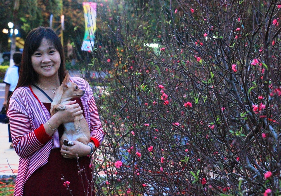 Vượt nghìn cây số, đào Nhật Tân hút khách đất võ Bình Định - 3 Nhiều người thích chụp hình bên những gốc đào Nhật Tân