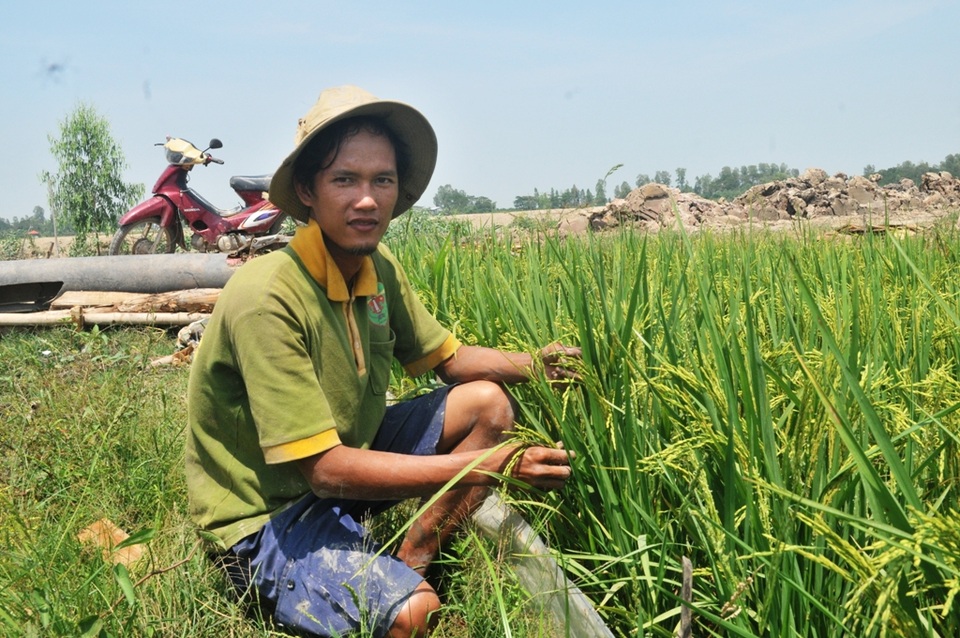9X từ nằm đất, ăn mì gói… trở thành ông chủ 400 công đất trồng lúa sạch - 1
Năm 2014, Võ Văn Tiếng về quê nhà và bắt đầu trồng 2ha lúa theo kiểu tự nhiên, không dùng phân, thuốc hóa học