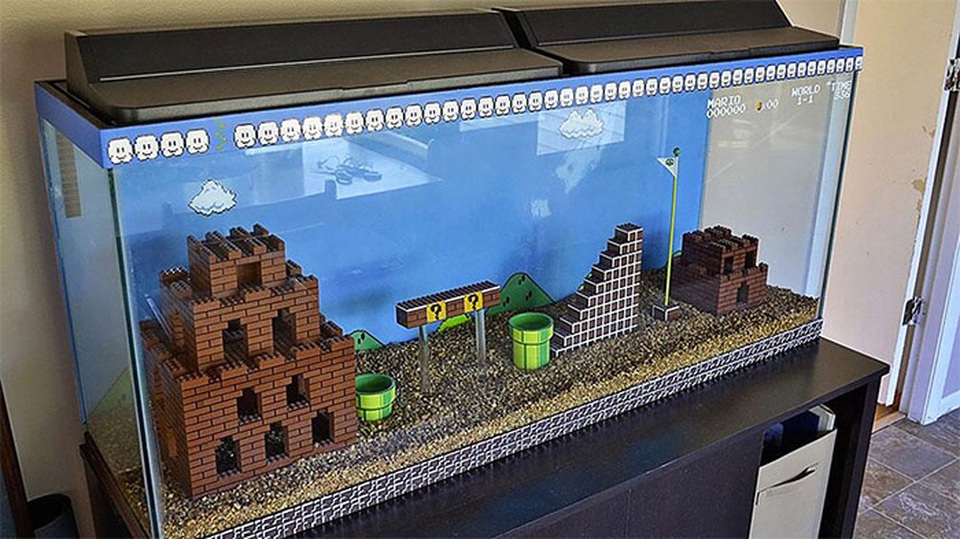 Sáng tạo với những cách sử dụng đồ chơi LEGO bạn chưa bao giờ nghĩ tới - 3 Sử dụng tác phẩm LEGO để trang trí bể cá cảnh để trống.
