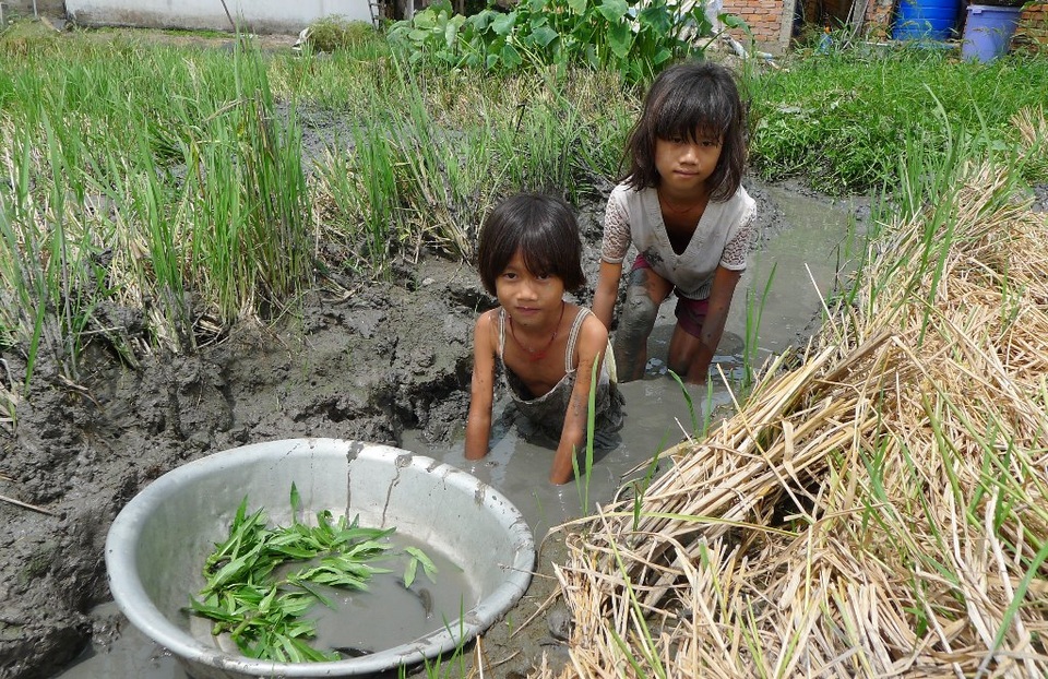 Thương 3 chị em mồ côi quần áo rách bươm, chạy ăn từng bữa - 1 Ở cái tuổi ăn chưa no, lo chưa tới nhưng chị em Son, Phấn sau mỗi buổi học là ra đồng bắt cá, hái rau... lo cái ăn từng bữa