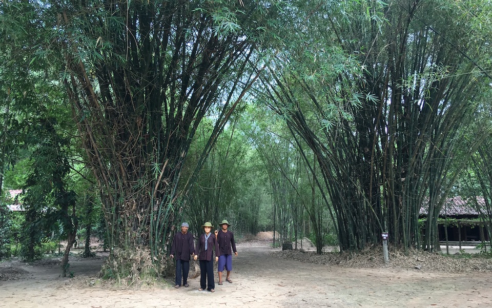 Đến địa đạo Củ Chi "trải nghiệm" cuộc chiến từ trong lòng đất! - 2 Khu địa đạo Củ Chi là một vùng quê yên bình với những mái nhà tranh nằm sau bụi tre xanh nhưng bên dưới là hệ thống đường ngầm, công sự, chiến hào