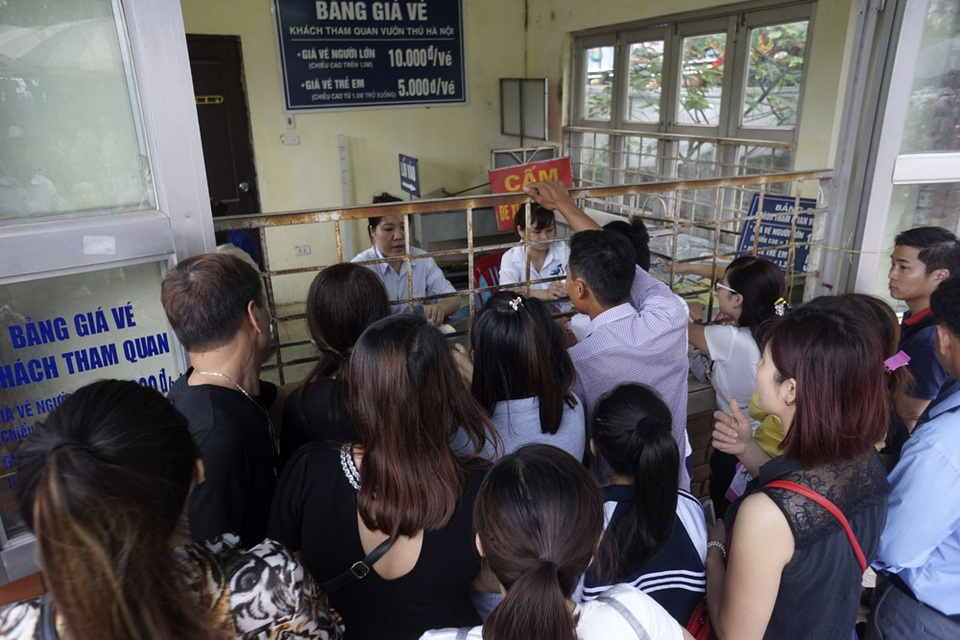 Tiếp tục... nghẹt thở ở công viên Thủ Lệ - 2 Khách chen mướt mồ hôi để mua vé vào cửa trong khi nhân viên bán vé phục vụ không nghỉ tay.