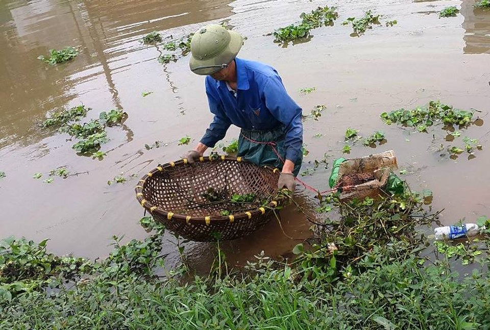 Kiếm nửa triệu đồng mỗi ngày từ nghề bắt cua đồng - 1 Đi săn cua đồng là nghề truyền thống, cho thu nhập cao đối với nhiều hộ dân ở huyện Kim Sơn, Ninh Bình.