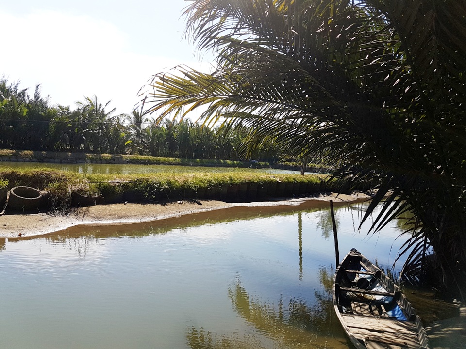 “Băm nát” rừng dừa nước Bảy Mẫu để làm du lịch - 2 Đào ao nuôi hải sản trong rừng dừa