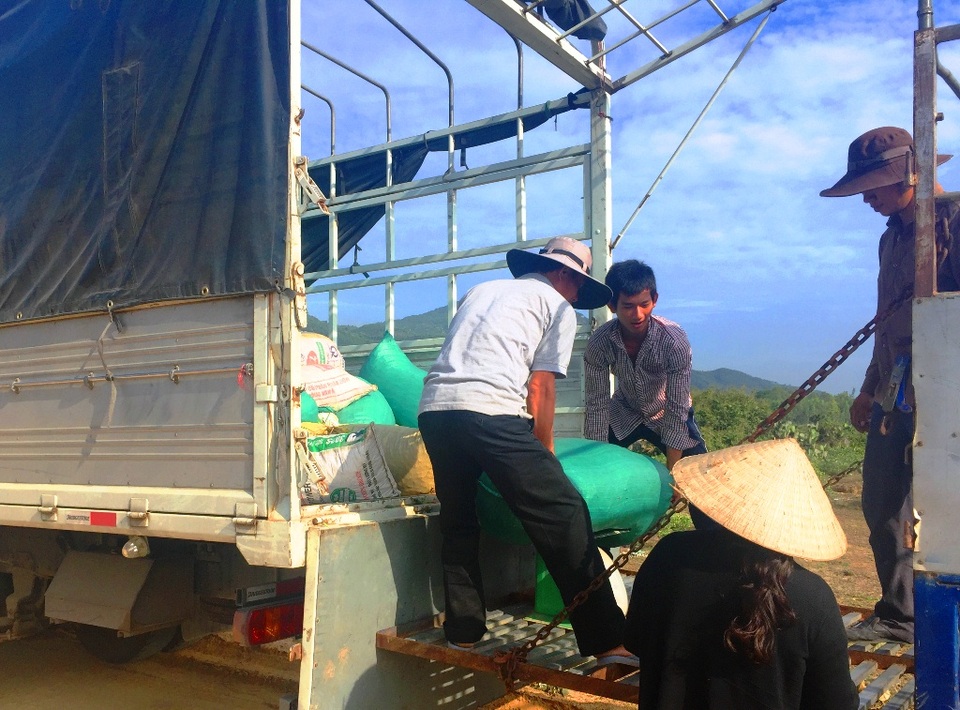 Giá ớt lao dốc, bán 1kg không mua nổi gói mì tôm - 2 1 kg ớt không mua nổi gói mì tôm?