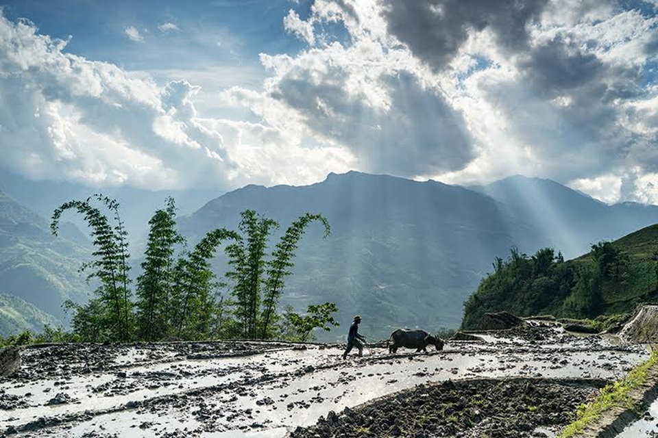 Vẻ đẹp ruộng bậc thang Lào Cai mùa nước đổ - 4