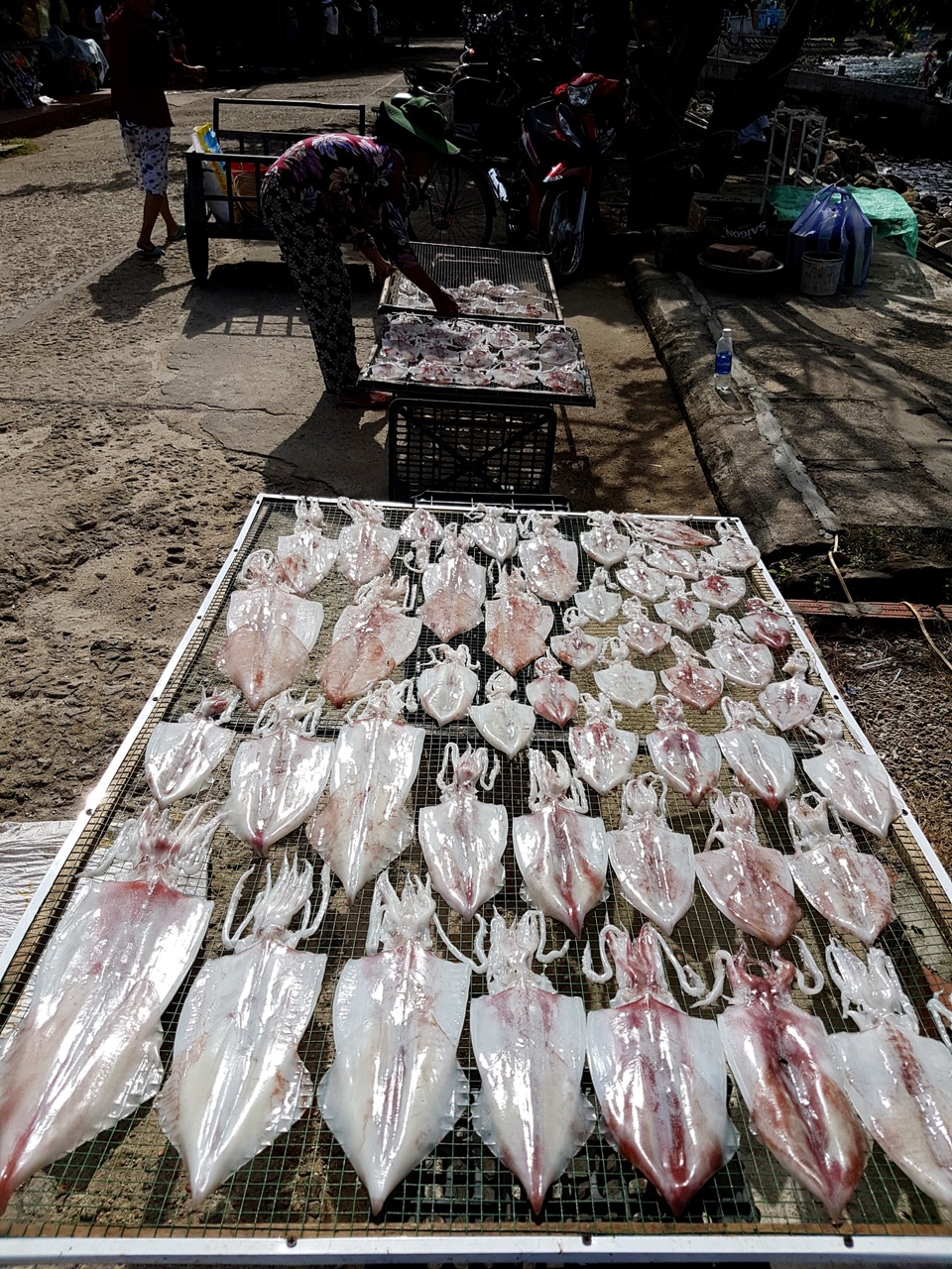 Rất nhiều người dân mua mực tươi về rồi phơi bán