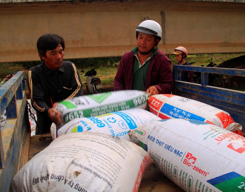 Làng “tắm” mình dưới sông 10 tiếng mỗi ngày nhủi ốc mưu sinh - 10 Ốc được đưa lên xe để bán cho các chủ nuôi tôm hùm ở Phú Yên, Nha Trang...