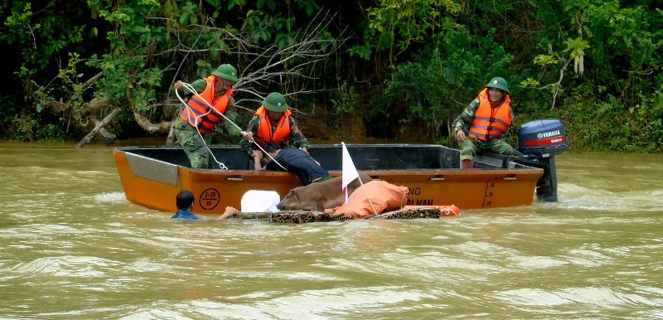 Các lực lượng đang khẩn trương cứu người và tài sản của người dân