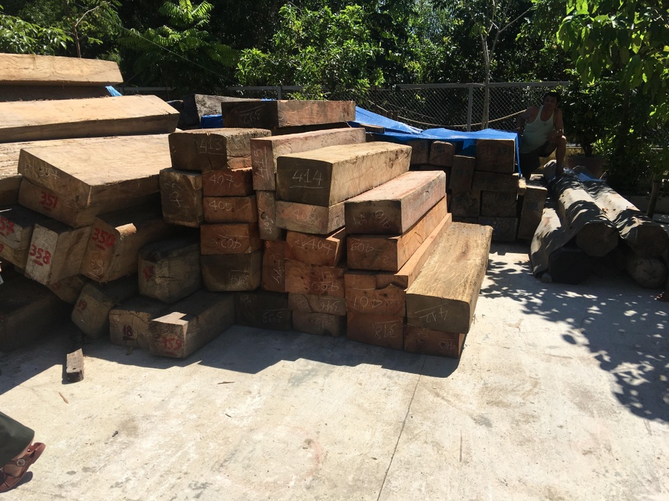 Gỗ được tập kết về Đội kiểm lâm cơ động số 2 để tiếp tục điều tra