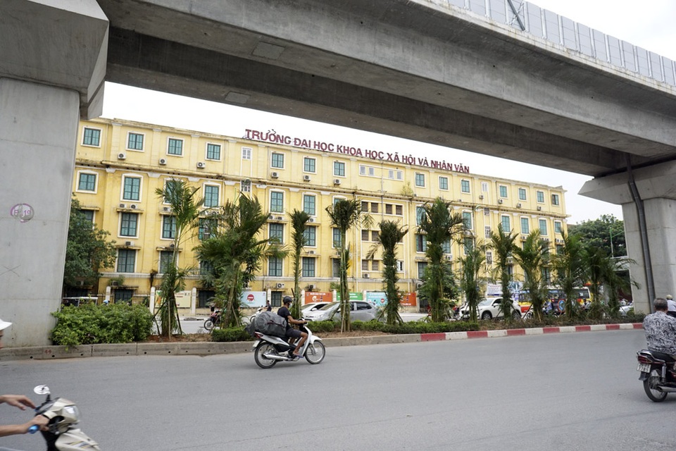 
Cây có độ cao khoảng 3,5 m, được trồng khá dày tại vị trí dải phân cách cứng giữa lòng đường.
