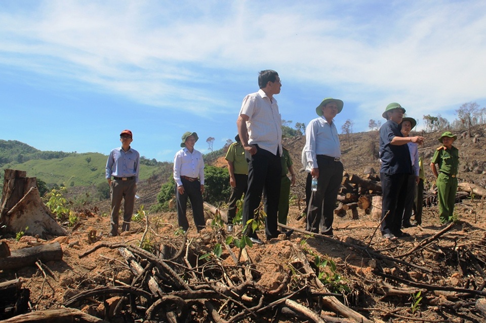 Phát hiện xưởng chế biến nghi chứa gỗ vụ phá 43 ha phá rừng - 2 Bí thư Tỉnh ủy Bình Định Nguyễn Thanh Tùng (áo đen) trực tiếp thị sát hiện trường và có chỉ đạo gấp các cơ quan chức năng sớm tìm ra thủ phạm để đưa ra pháp luật