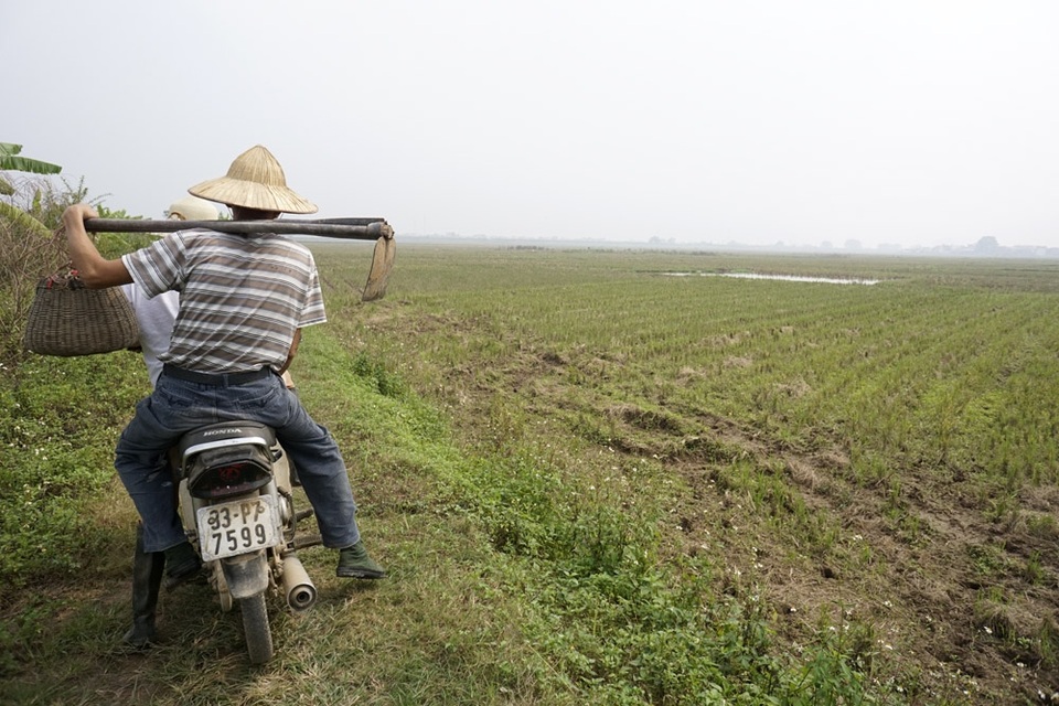 
Bất kì thời điểm nào trong ngày cũng có thể bắt được chuột. Ban ngày, thợ săn chuột bắt theo kiểu đào hang, đêm xuống thì soi đèn úp.
