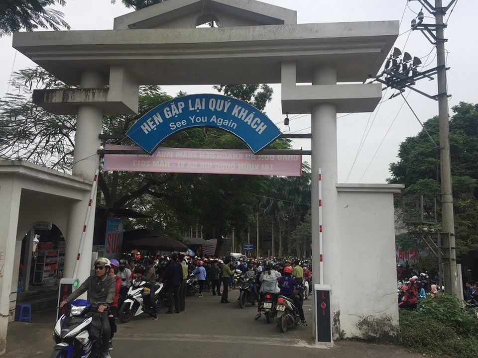 Giới trẻ đổ xô đi ngắm hoa dã quỳ Ba Vì - 1 Trong hai ngày cuối tuần vừa qua, lượng người lên Vườn quốc gia Ba Vì ngắm hoa dã quỳ tăng đột biến gây tắc nghẽn giao thông suốt dọc 2km đường vào cổng.