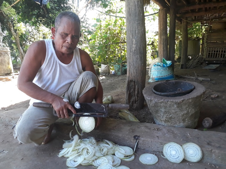 Thán phục ông lão mù "phăm phăm" lên rừng chặt tre, cuốc nương làm rẫy - 2 Ông Thịnh thái chuối cho lợn, ngan ăn