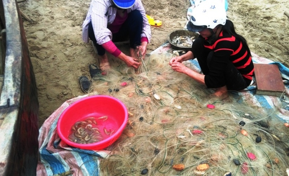 Trúng lớn mùa cá khoai đầu năm, ngư dân “hái” bạc triệu mỗi ngày - 2 Ngư dân hồ hởi gỡ lưới