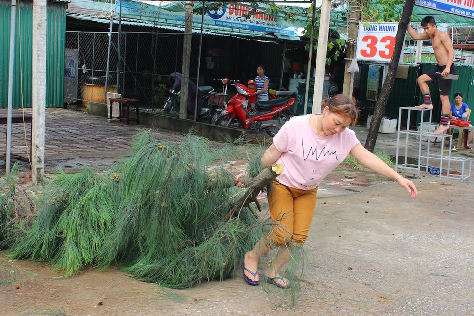 Lên phương án di dân, chằng néo nhà cửa chạy bão số 2 - 4 Lên phương án di dân, chằng néo nhà cửa chạy bão số 2 - 4