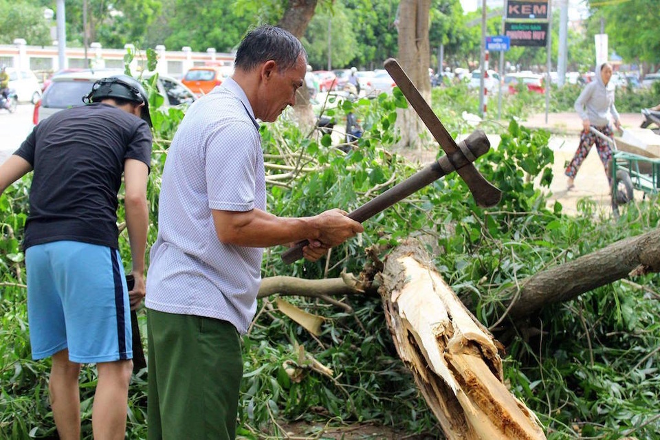 Sau bão, người dân thành Vinh “được mùa” củi - 1 Sau bão, người dân thành Vinh “được mùa” củi - 1