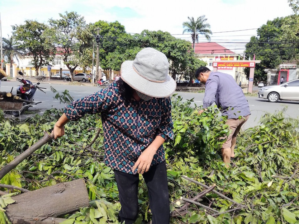 Sau bão, người dân thành Vinh “được mùa” củi - 4 Sau bão, người dân thành Vinh “được mùa” củi - 4