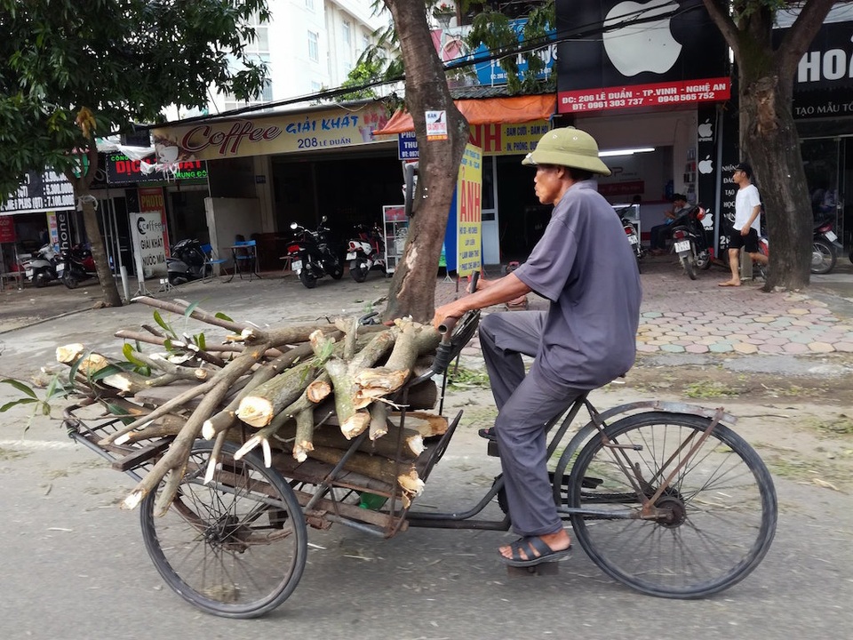 Sau bão, người dân thành Vinh “được mùa” củi - 12 Sau bão, người dân thành Vinh “được mùa” củi - 12