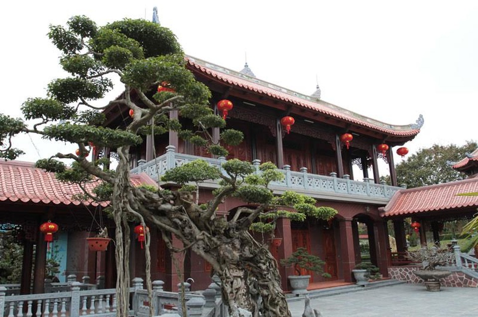 Cụm nhà gỗ này độc đáo ở chỗ là được làm toàn bằng gỗ quý như: đinh hương, giáng hương, cẩm lai... với số lượng gỗ khoảng 2.000m3, số gỗ này chủ yếu được mua từ Lào về để phục vụ việc xây dựng.