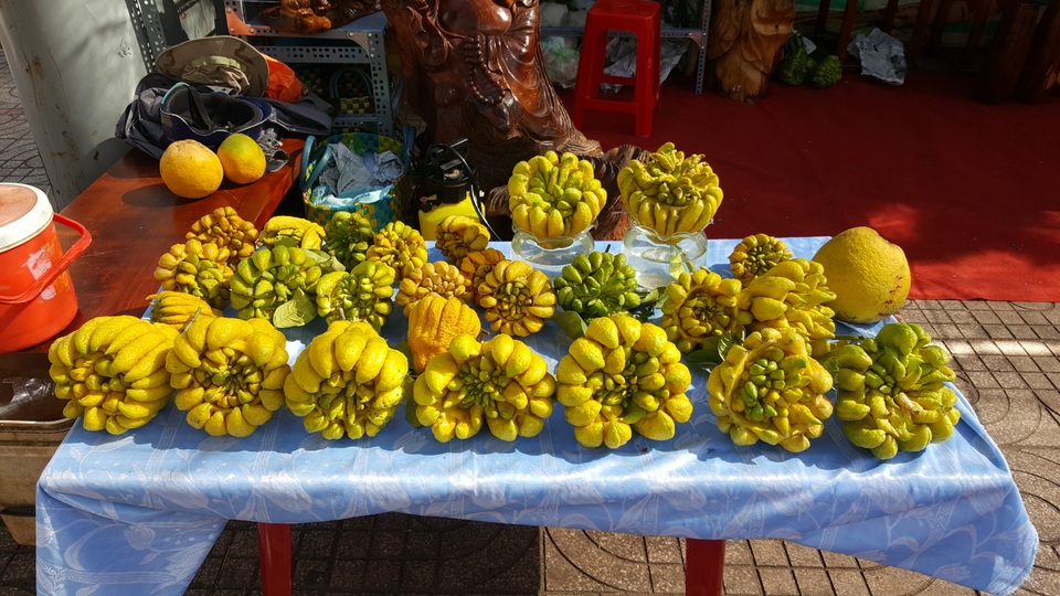 
Quả phật thủ dao động từ vài trăm nghìn đến khoảng 2 - 3 triệu đồng

 
