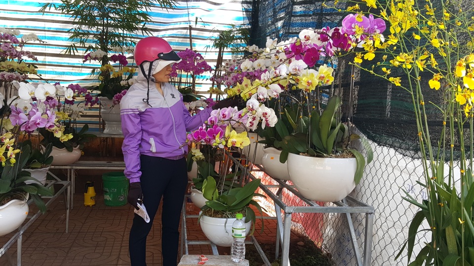 Để hợp túi tiền một số người chọn những chậu lan nhỏ hơn với giá vài triệu đồng