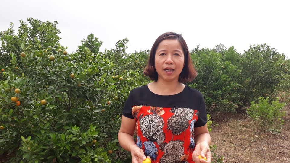 Sử dụng siro ho cho con, cha mẹ cần biết điều này - 2 Bà Hoàng Thị Thu Hương - Cán bộ điều phối của Biotrade