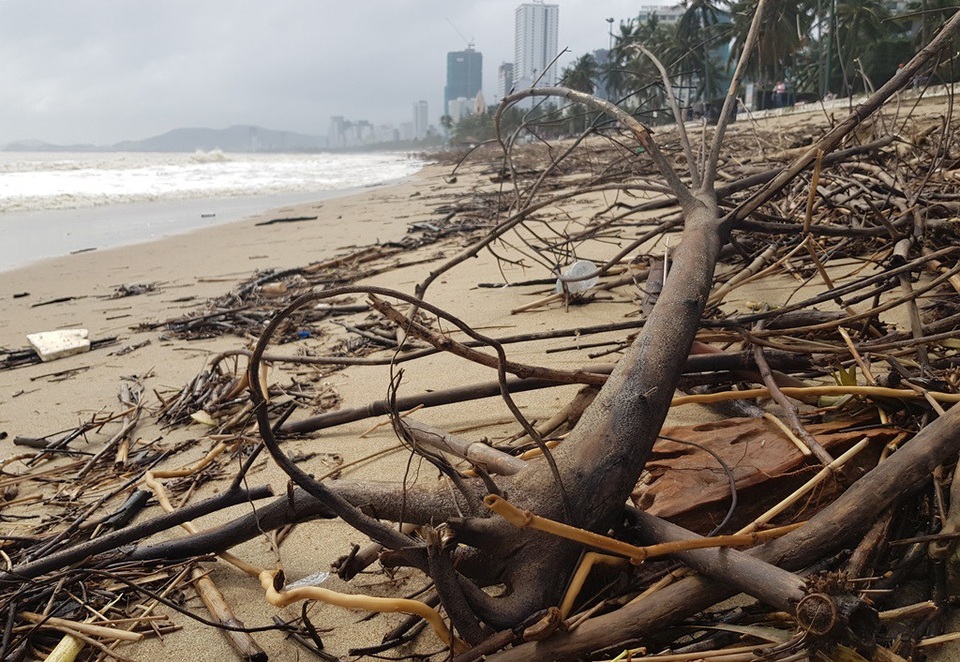 Bãi biển Nha Trang ngập rác sau mưa lớn - 3 Mỗi mùa nước sông Cái lên cao sẽ cuốn nhiều rác thải từ thượng nguồn đổ ra biển và trôi dạt vào bờ