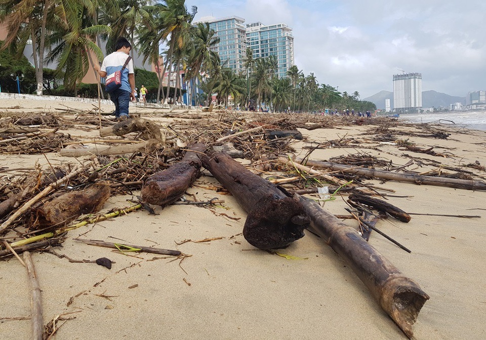 Bãi biển Nha Trang ngập rác sau mưa lớn - 4 Bãi biển Nha Trang ngập rác sau mưa lớn - 4