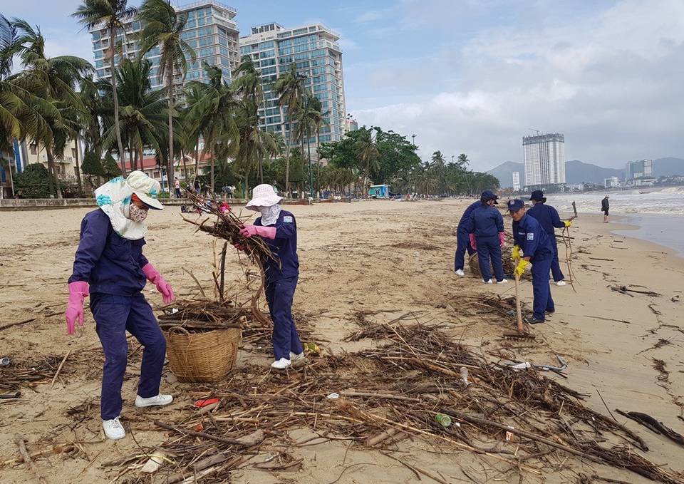 Bãi biển Nha Trang ngập rác sau mưa lớn - 9 Hàng chục công nhân môi trường được huy động để dọn rác, làm sạch bãi biển nổi tiếng