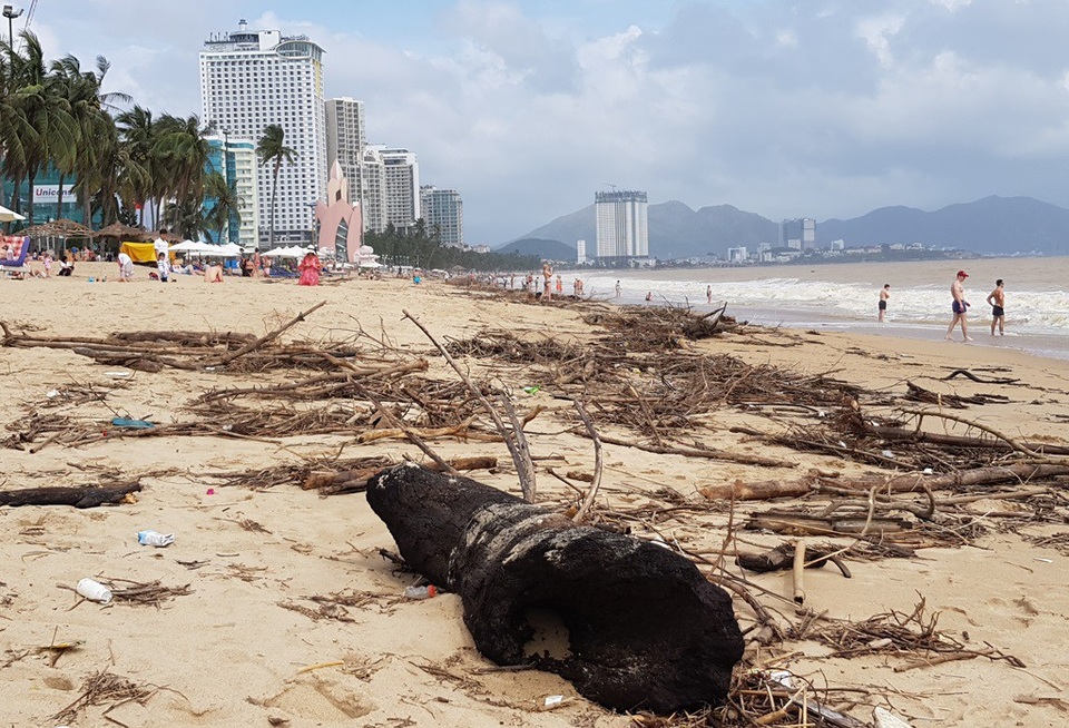Bãi biển Nha Trang ngập rác sau mưa lớn - 6 Rác trên bãi biển Nha Trang (đoạn phía Nam Quảng trường 2 tháng 4 TP Nha Trang)