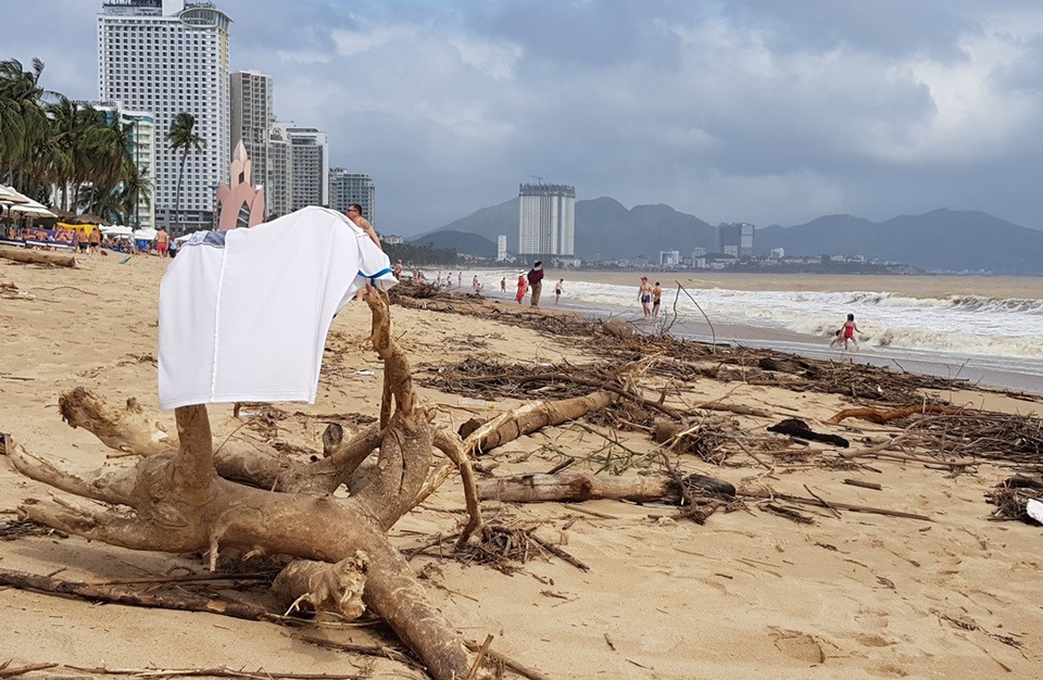 Bãi biển Nha Trang ngập rác sau mưa lớn - 8 Một du khách đem chiếc áo bị ẩm ướt phơi trên một cành củi khô tại bãi biển