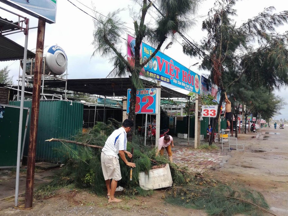 Lên phương án di dân, chằng néo nhà cửa chạy bão số 2 - 10 Tiến hành chặt cành cây lớn trước nhà và quán ăn.