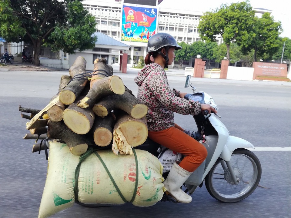Sau bão, người dân thành Vinh “được mùa” củi - 13 Những khúc củi được đưa về nhà.