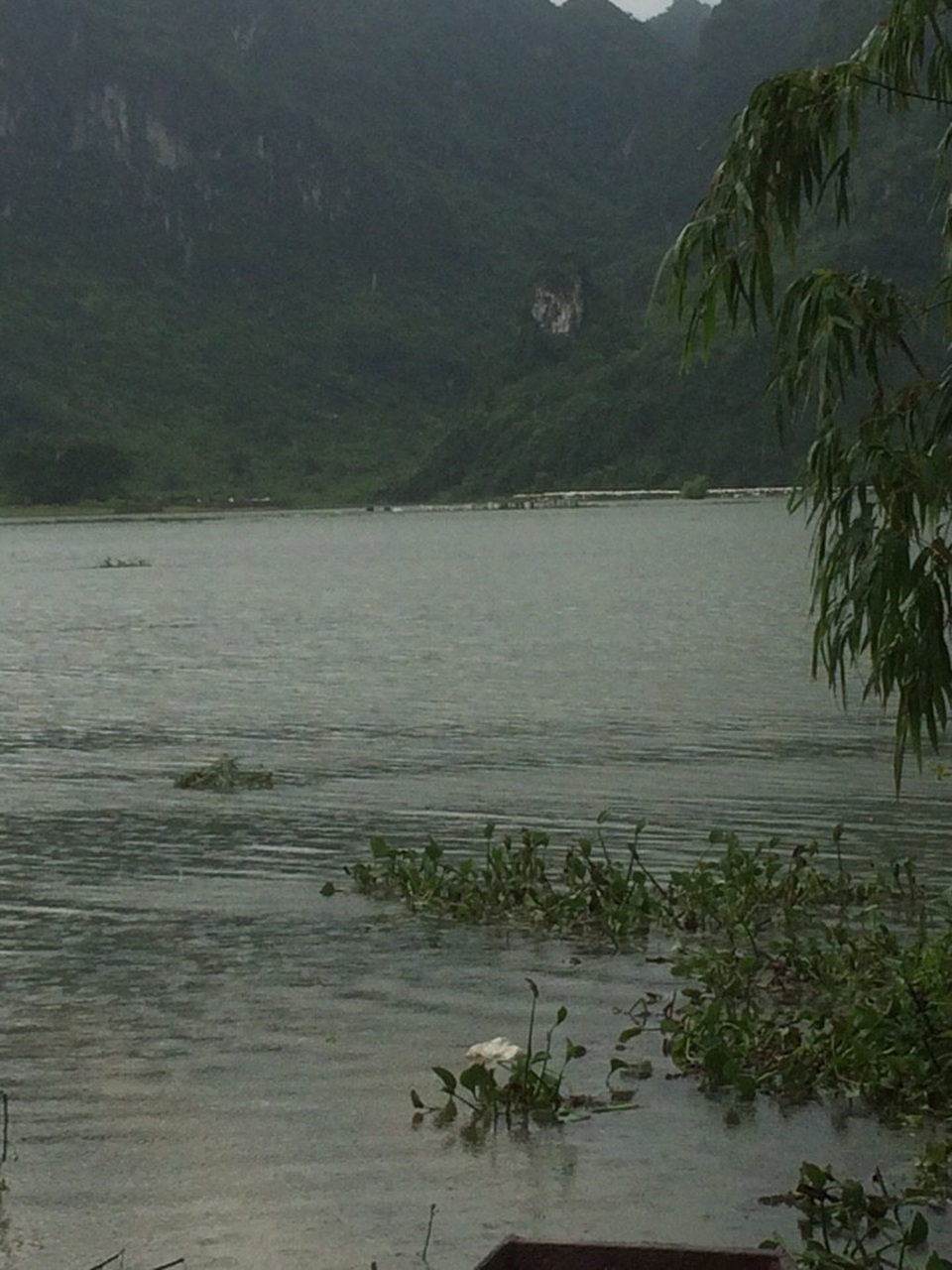 Lũ dâng ngập đường, 2 người chết đuối khi bơi thuyền đi thăm mộ - 1
Khu vực nước ngập sâu, nơi xảy ra vụ tai nạn.