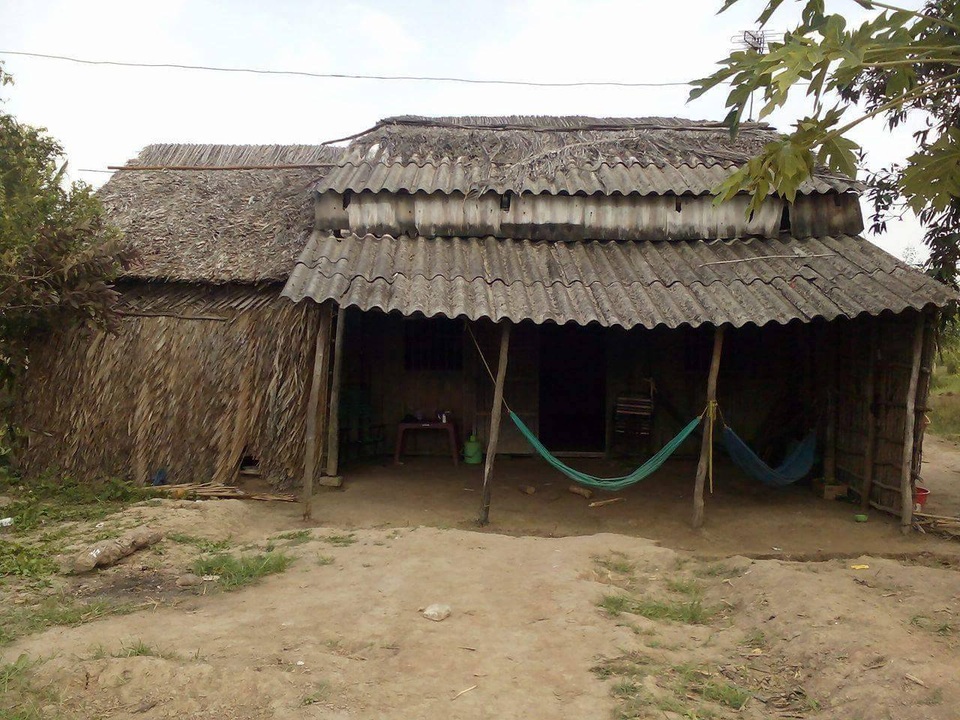 Nhà nghèo, cha bệnh, bé gái bị ung thư vật vờ chờ chết - 4 Căn nhà lá giữa cánh đồng mà vợ chồng chị Xuyến mượn của người quen để che mưa che nắng cho cả nhà, nhưng mùa nước nổi thì nước ngập xâm xấp mắt cá chân