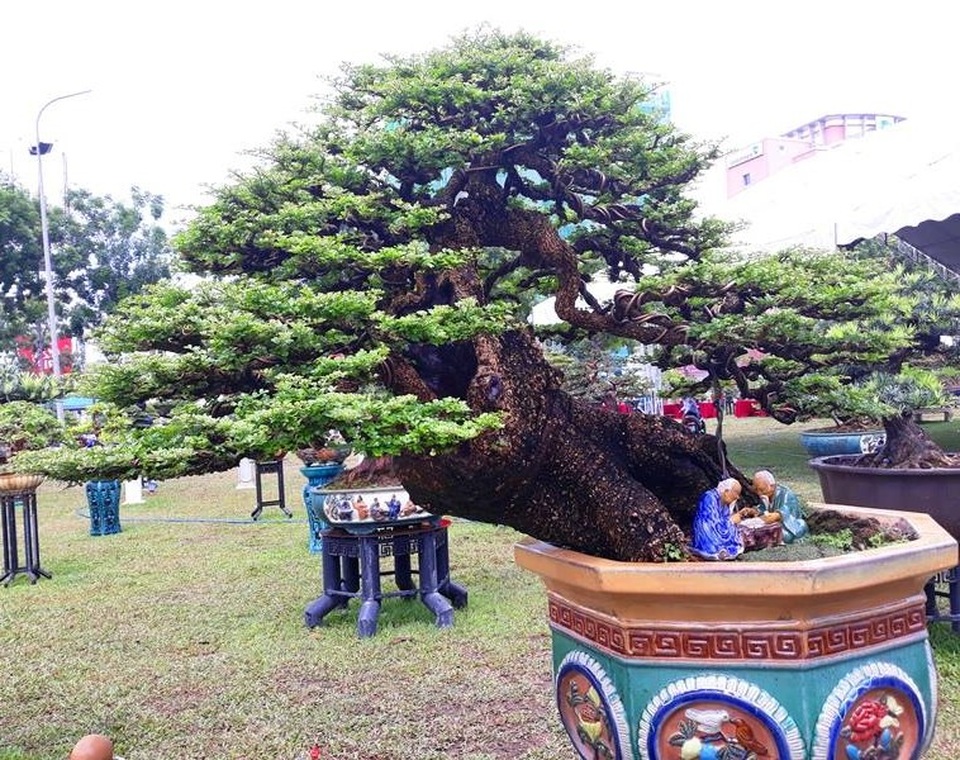 
Cần thăng trị giá hơn nửa tỷ đồng
