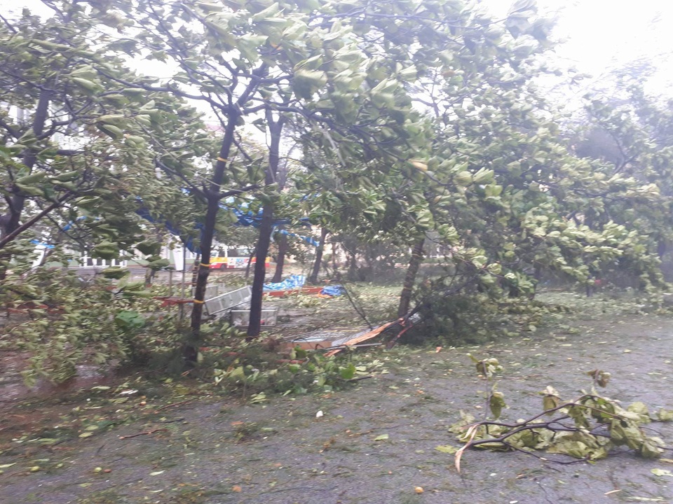 Bão quần thảo dồn dập, tơi tả Hà Tĩnh - 5 Bão quần thảo dồn dập, tơi tả Hà Tĩnh - 5