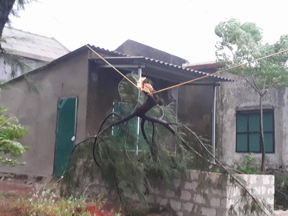 Bắc miền Trung mưa trắng trời, gió giật dữ dội trong bão - 29 Bắc miền Trung mưa trắng trời, gió giật dữ dội trong bão - 29