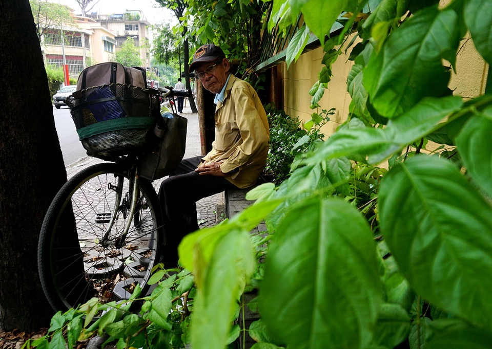 Người Sài Gòn tìm đủ cách “trốn” nóng - 10 Ông Nguyễn Văn Trụ (65 tuổi) cho biết: Buổi trưa chú phải ngồi nép mình vào hàng cây xanh để ngồi cho đỡ nắng nóng.