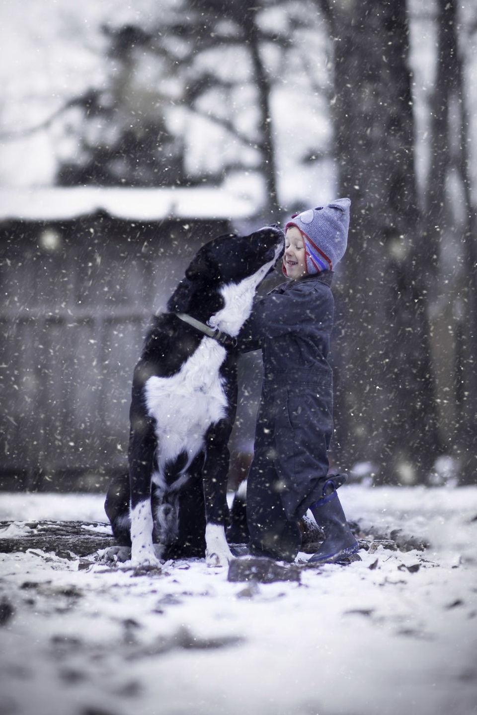 Bộ ảnh tuyệt đẹp về tuổi thơ trên nông trại - 11