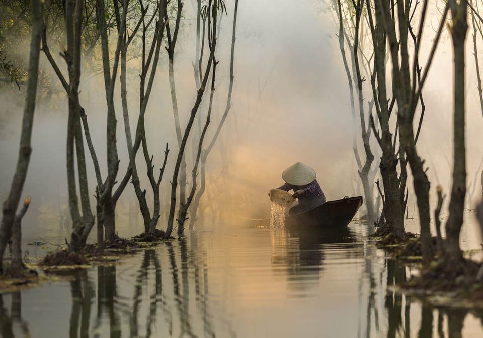 Những hình ảnh xuất sắc của nhiếp ảnh gia Việt đăng trên National Geographic - 22
Một người phụ nữ đang xúc tôm trong sương sớm ở đầm Quan Sơn, huyện Mỹ Đức, cách Hà Nội khoảng 50km. Mỗi ngày, cô có thể đánh được 2 giỏ tôm và bán với giá khoảng 100.000 đồng. (Click vào đây để xem ảnh kích thước lớn)
