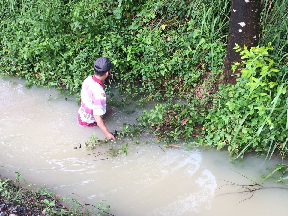 Chui miệng cống tìm kiếm bé trai mất tích - 2 
Rất đông người dân tham gia tìm kiếm cháu bé.